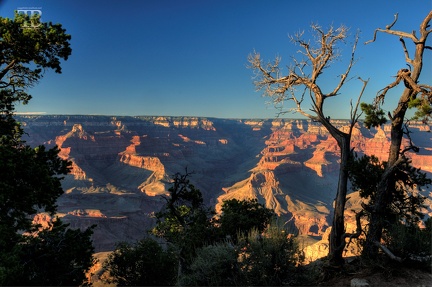 1008-Grand-Canyon-01