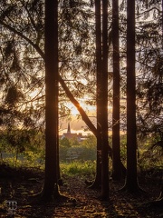 1405-sonnenaufgang-noeham-Canon PowerShot S90-IMG 6909